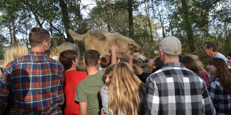 Seacrest Wolf Preserve