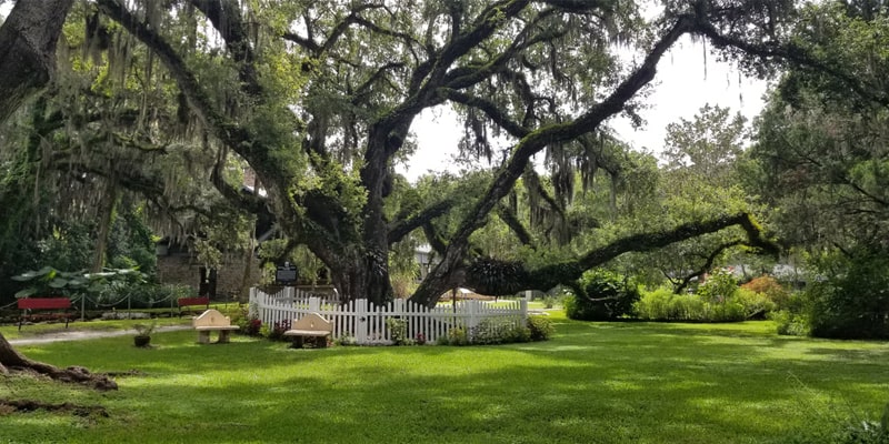 Dunlawton Sugar Mill Gardens