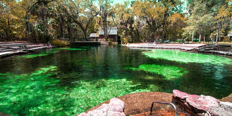 Juniper Springs Recreation Area