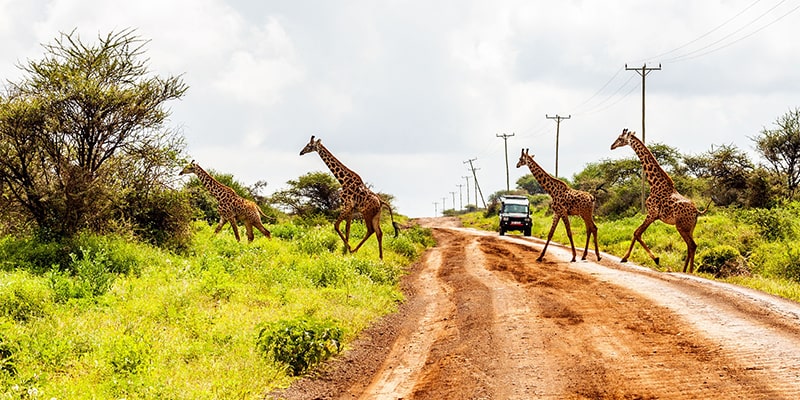 Cheap Flight to Kenya