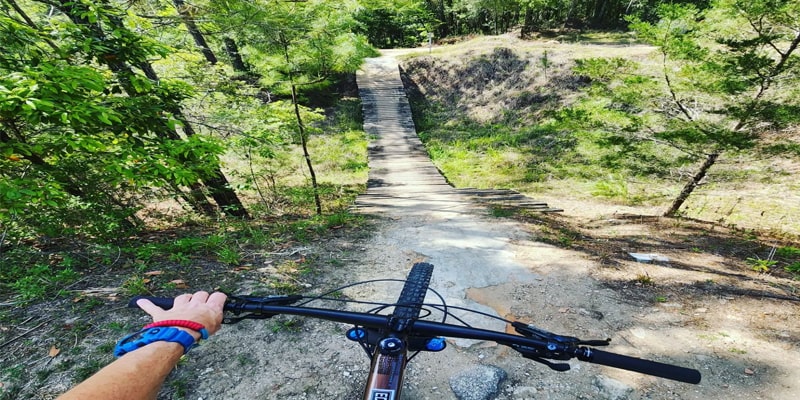 Paynes Prairie Preserve State Park