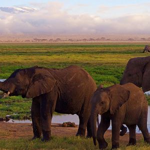 Business Class Flights to Africa