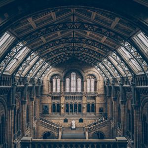 Flights to London from Dallas Fort Worth