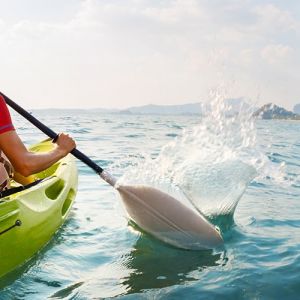 Indian Ocean Business Flights