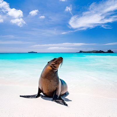 Galapagos Cruise