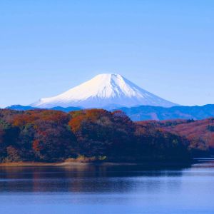 Business Class Flights to Japan