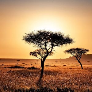 Kenya and Tanzania Holiday Deal