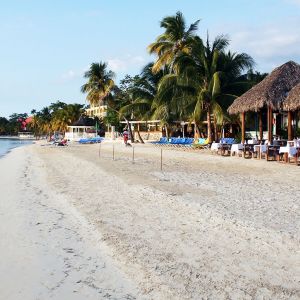 Business Class Flights to Kingston