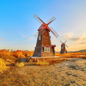 South Korea Flight Deals