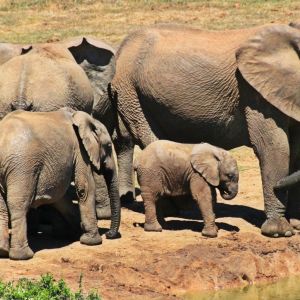 Kruger Park Holidays