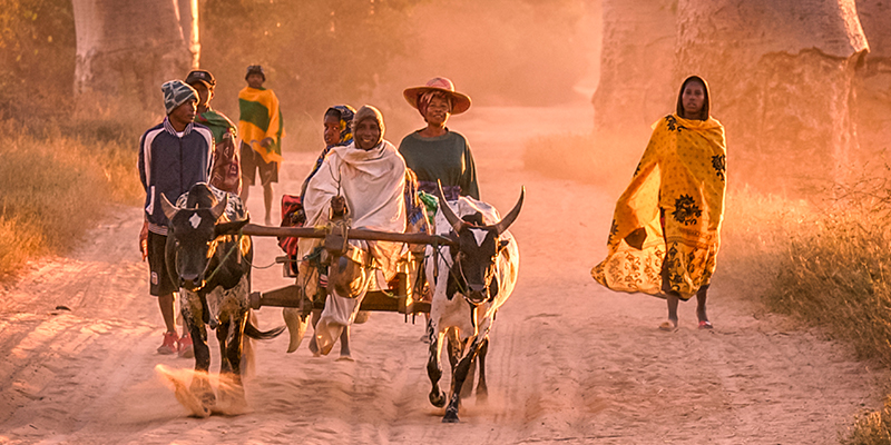 Madagascar Flight Deal