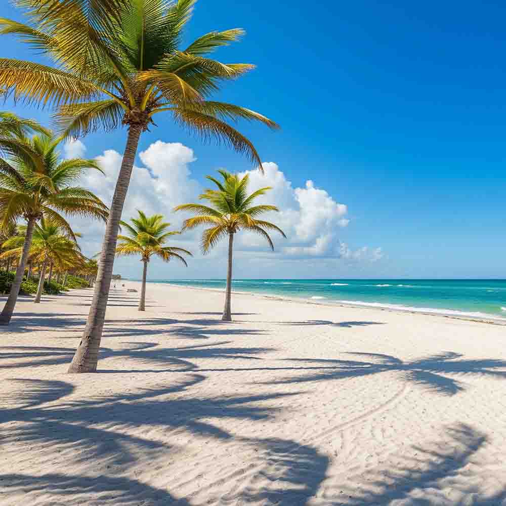 Multi Centre Florida