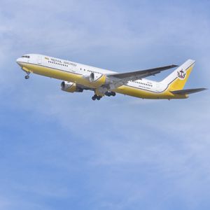 Royal Brunei Airlines Deal
