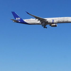 SAS Airline Deal