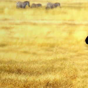 South Africa Holiday Package