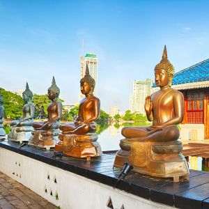 Business Class Flights to Sri Lanka