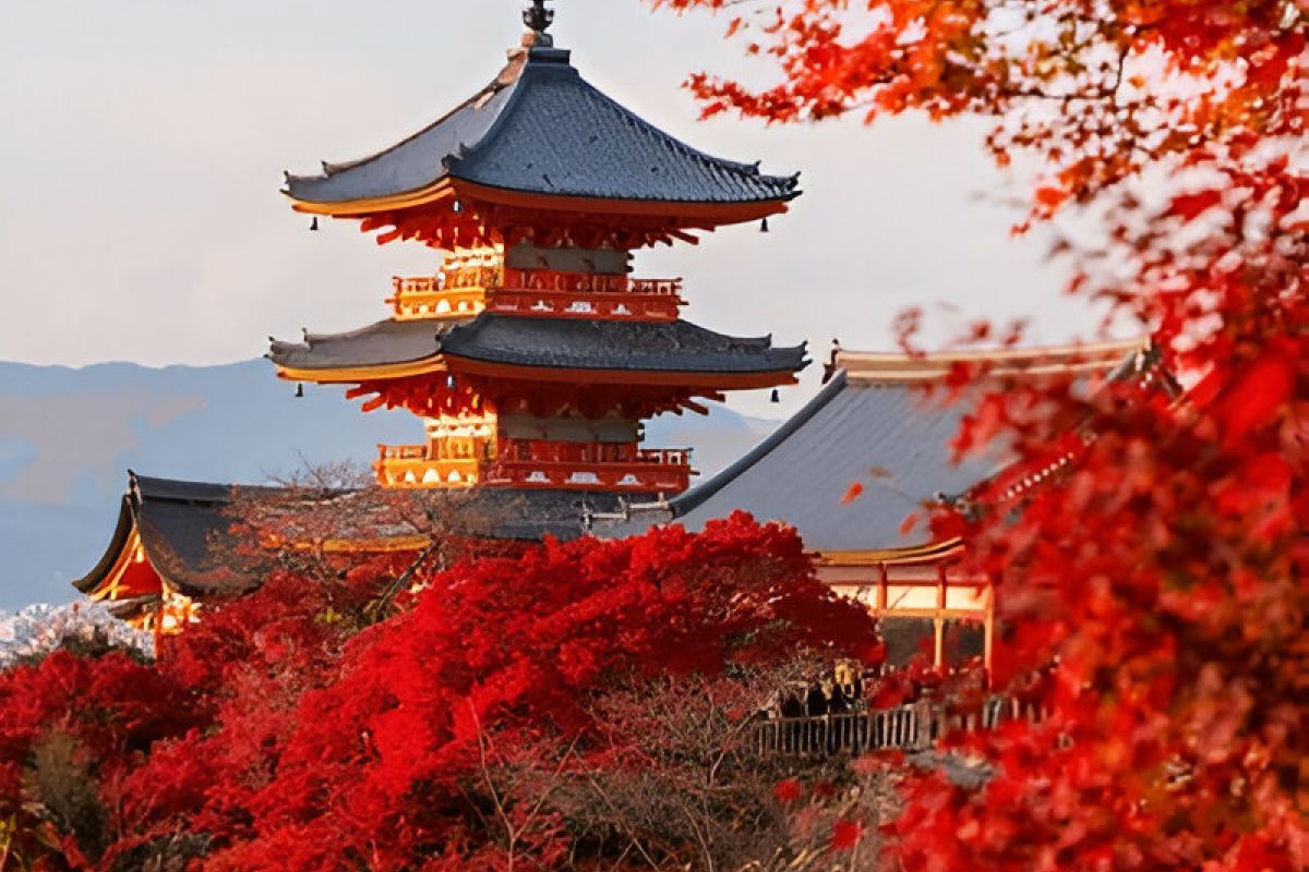 Wonderful Japan - 10 Nights