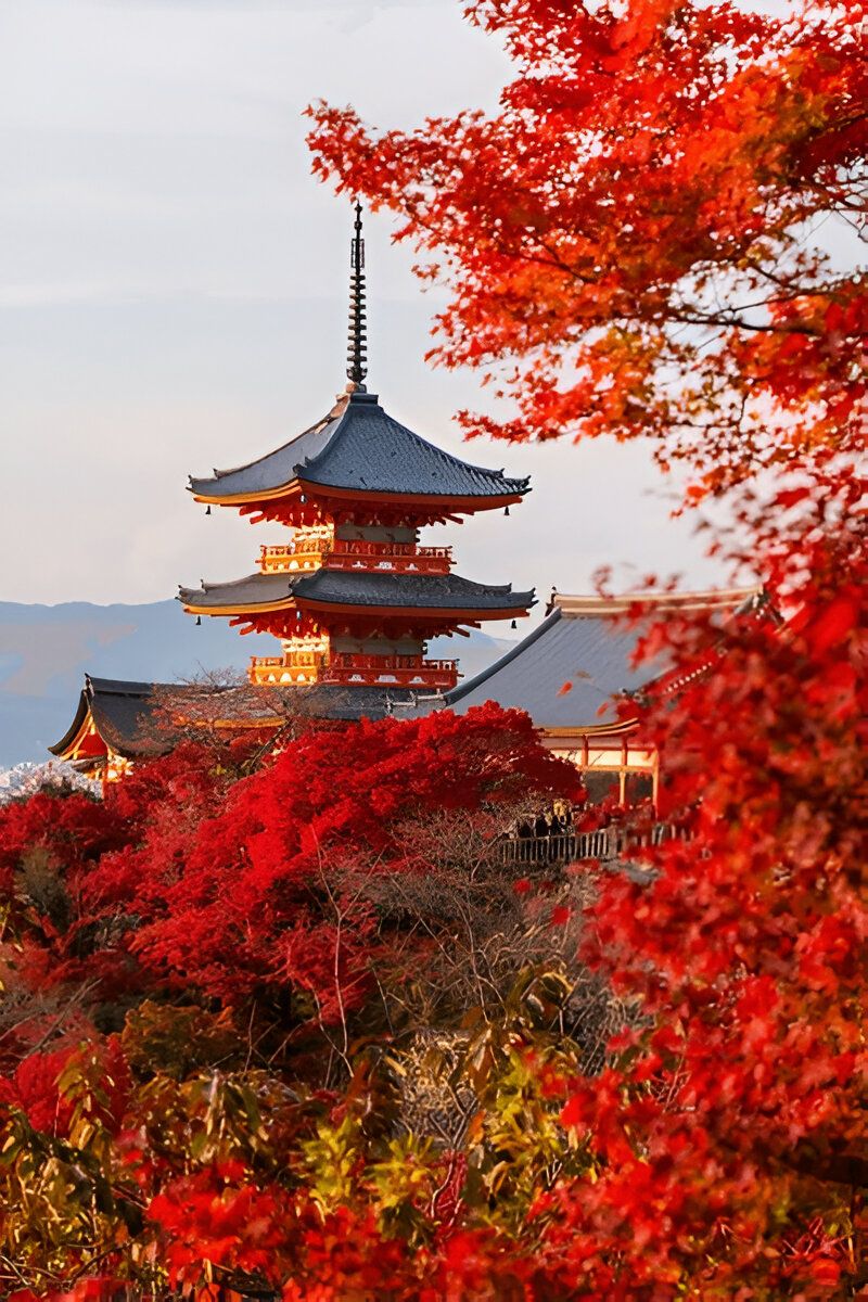 Wonderful Japan - 10 Nights