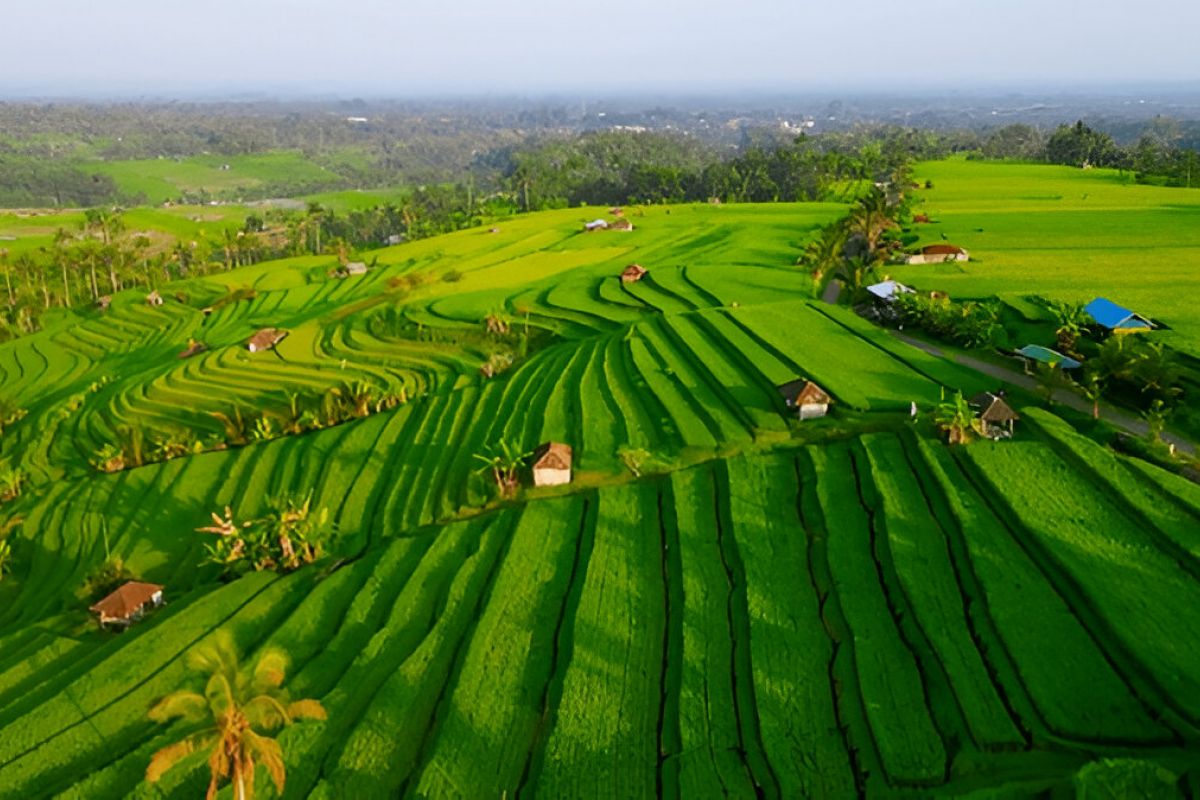 Asia Unlocked: 11 Nights in Malaysia, Singapore & Bali