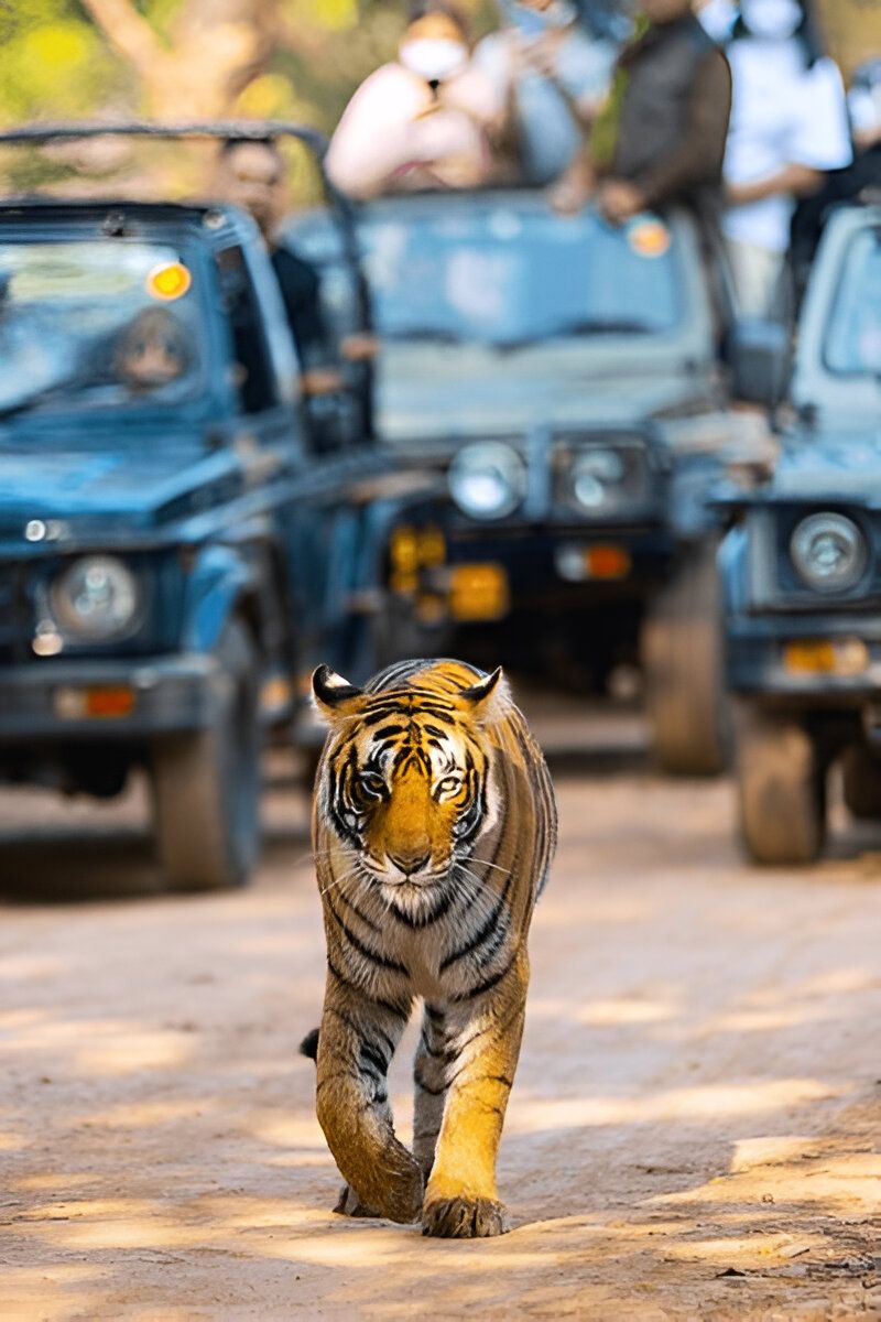 Luxury Golden Triangle Holidays